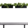 Null APTO Schreibtisch Halterung Für Blumenkästen 160x80x2cm Mit Tischklemmen, Schwarz