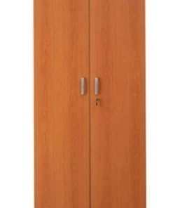 PROREGAL Aktenschrank Beetle | HxBxT 195x92x42 Cm | Silber-Ahorn -Yongsheng-Geschäft 9b515d5a 95f6 472f b916 7d071f789cfa 3