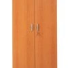 PROREGAL Aktenschrank Beetle | HxBxT 195x92x42 Cm | Schwarz-Erle